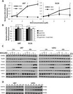 TRAP1 Antibody in Western Blot, Flow Cytometry (WB, Flow)