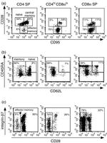 CD28 Antibody in Flow Cytometry (Flow)