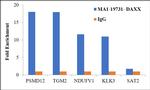 DAXX Antibody in ChIP Assay (ChIP)