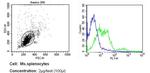 CD11c Antibody in Flow Cytometry (Flow)