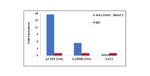 HDAC2 Antibody in ChIP Assay (ChIP)