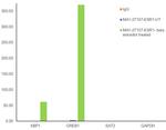 Estrogen Receptor alpha Antibody in ChIP Assay (ChIP)