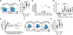 HLA-DR Antibody in Flow Cytometry (Flow)