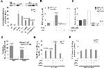 AHR Antibody in ChIP Assay (ChIP)