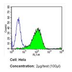 CD26 Antibody in Flow Cytometry (Flow)