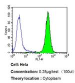 PDI Antibody in Flow Cytometry (Flow)