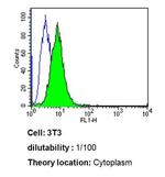 Cdc37 Antibody in Flow Cytometry (Flow)