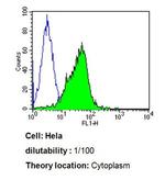 Cdc37 Antibody in Flow Cytometry (Flow)