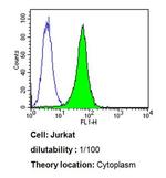 Cdc37 Antibody in Flow Cytometry (Flow)