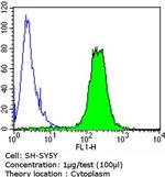 SPTBN1 Antibody in Flow Cytometry (Flow)