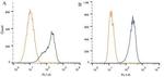 AIP Antibody in Flow Cytometry (Flow)