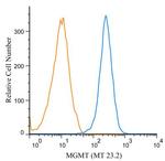 MGMT Antibody in Flow Cytometry (Flow)