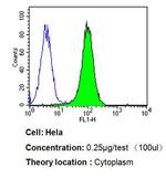 p23 Antibody in Flow Cytometry (Flow)