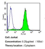 p23 Antibody in Flow Cytometry (Flow)