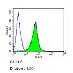 Caveolin 1 Antibody in Flow Cytometry (Flow)