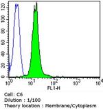 CACNA2D1 Antibody in Flow Cytometry (Flow)