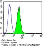 CACNA2D1 Antibody in Flow Cytometry (Flow)