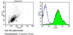 CD44 Antibody in Flow Cytometry (Flow)