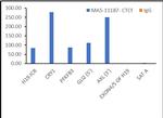 CTCF Antibody in ChIP Assay (ChIP)