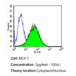 MUC1 Antibody in Flow Cytometry (Flow)