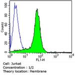 CD2 Antibody in Flow Cytometry (Flow)