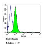 CD21 Antibody in Flow Cytometry (Flow)