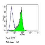 Transferrin Receptor Antibody in Flow Cytometry (Flow)