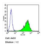 Thrombomodulin Antibody in Flow Cytometry (Flow)