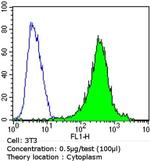 Bcl-2 Antibody in Flow Cytometry (Flow)