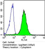 Bcl-2 Antibody in Flow Cytometry (Flow)