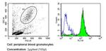 CD15 Antibody in Flow Cytometry (Flow)