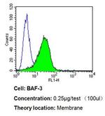 CD24 Antibody in Flow Cytometry (Flow)