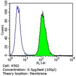 CD47 Antibody in Flow Cytometry (Flow)