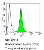 LCK Antibody in Flow Cytometry (Flow)