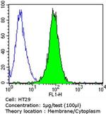 EpCAM Antibody in Flow Cytometry (Flow)