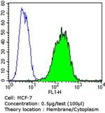 EpCAM Antibody in Flow Cytometry (Flow)