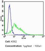 CD235a Antibody in Flow Cytometry (Flow)