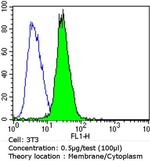 EGFR Antibody in Flow Cytometry (Flow)