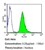 Ku70 Antibody in Flow Cytometry (Flow)