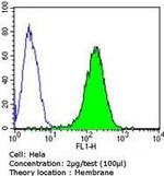 CD155 Antibody in Flow Cytometry (Flow)