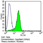 MGMT Antibody in Flow Cytometry (Flow)