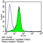 MGMT Antibody in Flow Cytometry (Flow)