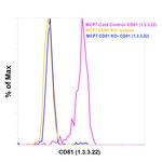 CD81 Antibody in Flow Cytometry (Flow)