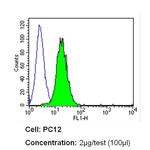 INSR beta Antibody in Flow Cytometry (Flow)