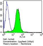 P-Glycoprotein Antibody in Flow Cytometry (Flow)