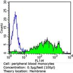 CD36 Antibody in Flow Cytometry (Flow)