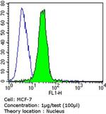 Cyclin E Antibody in Flow Cytometry (Flow)