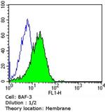 CD23 Antibody in Flow Cytometry (Flow)