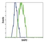 SHIP2 Antibody in Flow Cytometry (Flow)