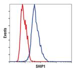 SHIP1 Antibody in Flow Cytometry (Flow)